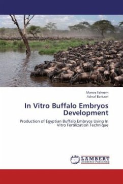 In Vitro Buffalo Embryos Development