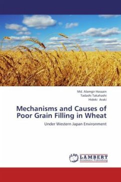 Mechanisms and Causes of Poor Grain Filling in Wheat