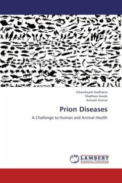 Prion Diseases