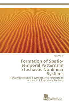 Formation of Spatio-temporal Patterns in Stochastic Nonlinear Systems - Müller, Felix