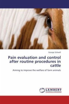 Pain evaluation and control after routine procedures in cattle - Stilwell, George