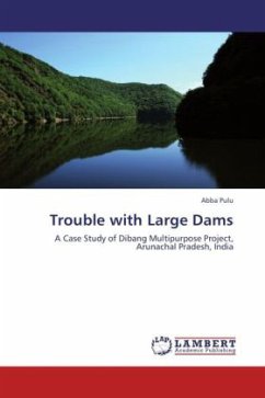 Trouble with Large Dams - Pulu, Abba