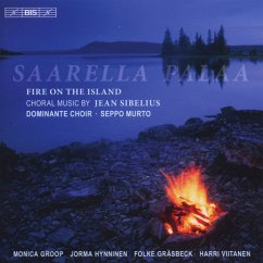 Cover Saarella Palaa-Feuer Auf Der Insel