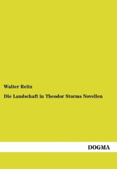 Die Landschaft in Theodor Storms Novellen - Reitz, Walter