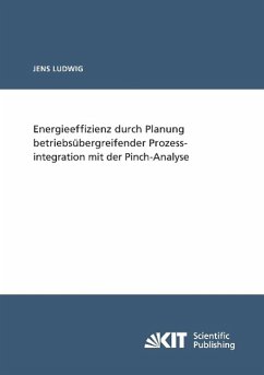Energieeffizienz durch Planung betriebsübergreifender Prozessintegration mit der Pinch-Analyse - Ludwig, Jens