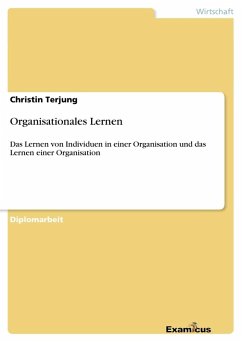 Organisationales Lernen - Terjung, Christin
