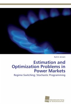 Estimation and Optimization Problems in Power Markets - Jensen, Katrin
