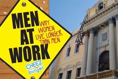 Men at Work - Network, Cheezburger