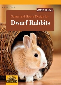 Games and House Design for Dwarf Rabbits - Schmidt, Esther