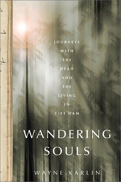 Wandering Souls - Karlin, Wayne