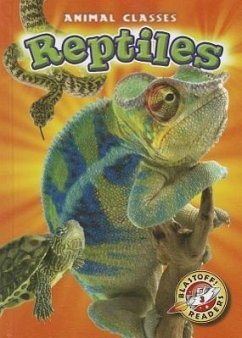 Reptiles - Schuetz, Kari