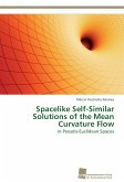 Spacelike Self-Similar Solutions of the Mean Curvature Flow