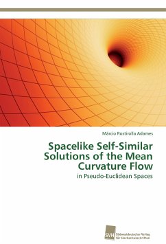 Spacelike Self-Similar Solutions of the Mean Curvature Flow - Rostirolla Adames, Márcio