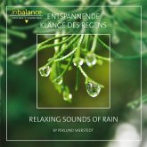 Entspannende Klänge Des Regens