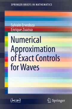 Numerical Approximation of Exact Controls for Waves - Ervedoza, Sylvain;Zuazua, Enrique