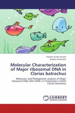 Molecular Characterization of Major ribosomal DNA in Clarias batrachus