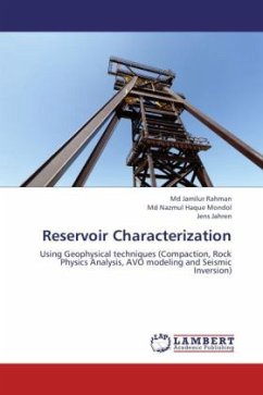 Reservoir Characterization