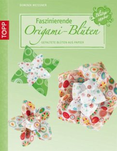 Faszinierende Origami-Blüten - Meißner, Dominik