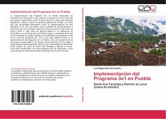 Implementación del Programa 3x1 en Puebla - Morales Gaméz, Luis Miguel