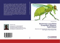 Bactrocera cucurbitae (Coquillet) (Diptera: Tephritidae) - Laskar, Nripendra