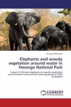 Elephants and woody vegetation around water in Hwange National Park - Mukwashi, Kanisios