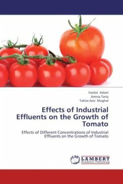 Effects of Industrial Effluents on the Growth of Tomato