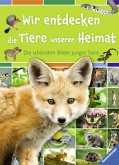 Wir entdecken die Tiere unserer Heimat