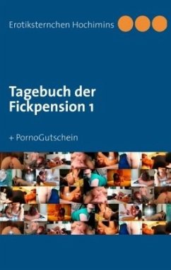 Tagebuch der Fickpension 1 - Hochimins, Erotiksternchen