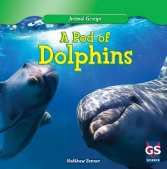 A Pod of Dolphins - Fenner, Matthew