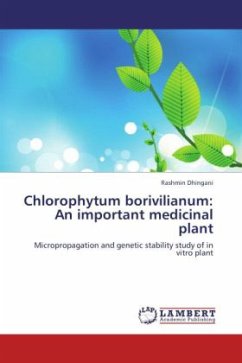 Chlorophytum borivilianum: An important medicinal plant