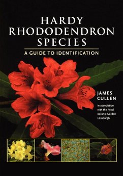 Hardy Rhododendron Species - Cullen, James