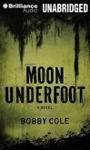 Moon Underfoot