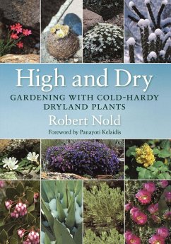 High and Dry - Nold, Robert