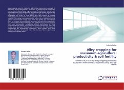 Alley cropping for maximum agricultural productivity & soil fertility