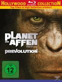Planet der Affen - Prevolution Hollywood Collection