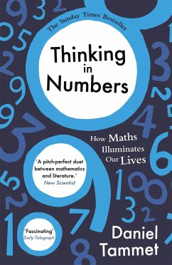 Thinking in Numbers - Tammet, Daniel
