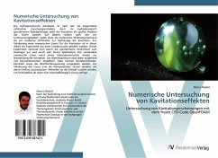 Numerische Untersuchung von Kavitationseffekten