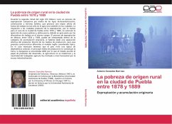 La pobreza de origen rural en la ciudad de Puebla entre 1878 y 1889 - González Barroso, Antonio