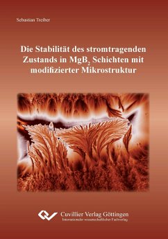 Die Stabilität des stromtragenden Zustands in MgB2 Schichten mit modifizierter Mikrostruktur - Treiber, Sebastian