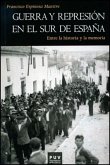 Guerra y represión en el sur de España : entre la historia y la memoria