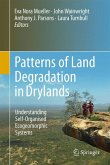 Patterns of Land Degradation in Drylands