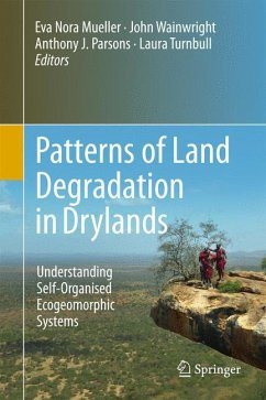 Patterns of Land Degradation in Drylands