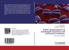 ECRG1 polymorphism & esophageal squamous cell carcinoma in Kashmir - Rasool, Sabha;Ganai, Bashir Ahmad;Showkat, Ahmad Kadla