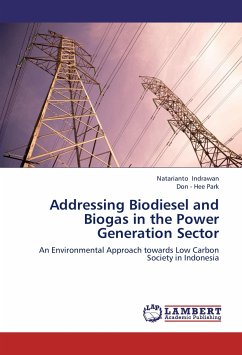 Addressing Biodiesel and Biogas in the Power Generation Sector