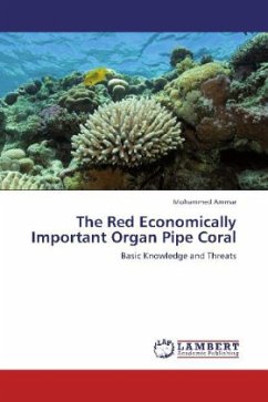 The Red Economically Important Organ Pipe Coral - Ammar, Mohammed