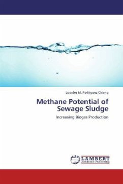 Methane Potential of Sewage Sludge