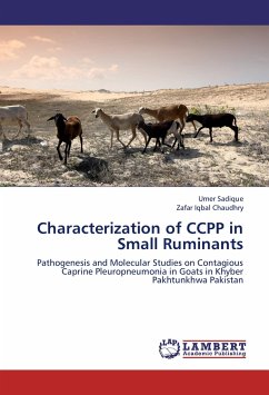Characterization of CCPP in Small Ruminants