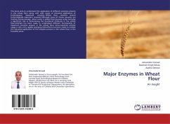 Major Enzymes in Wheat Flour