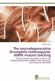 The neurodegenerative Drosophila melanogaster AMPK mutant loechrig