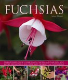 Fuchsias: An Illustrated Guide to Varieties, Cultivation and Care, with Step-By-Step Instructions and More Than 130 Beautiful Ph